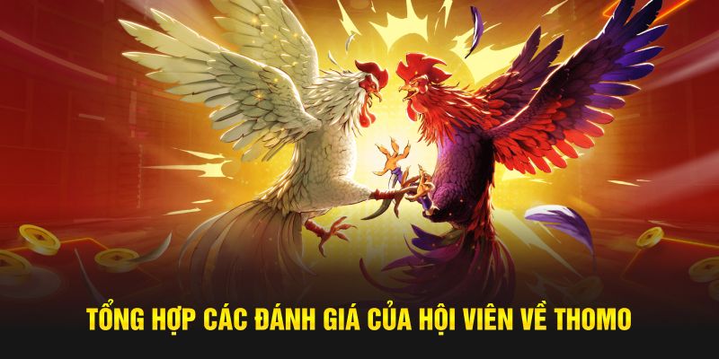 Tổng hợp các đánh giá của hội viên về Thomo